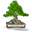 Bonsai Final Icon